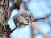 Фотография Кукушкиной Лены