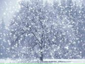 Принцесса Нюша фотография #5 (источник - https://vk.com/id42963)