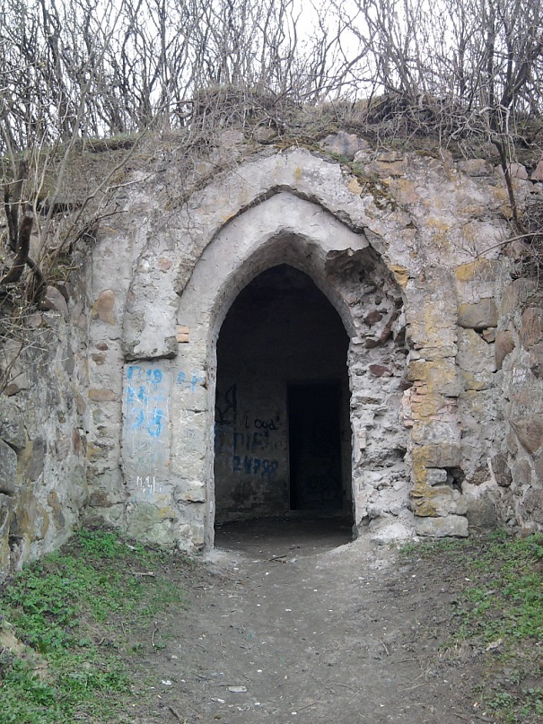 Дмитрий Вишняков фотография #45