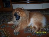 Фотография Литвиновой Ольги