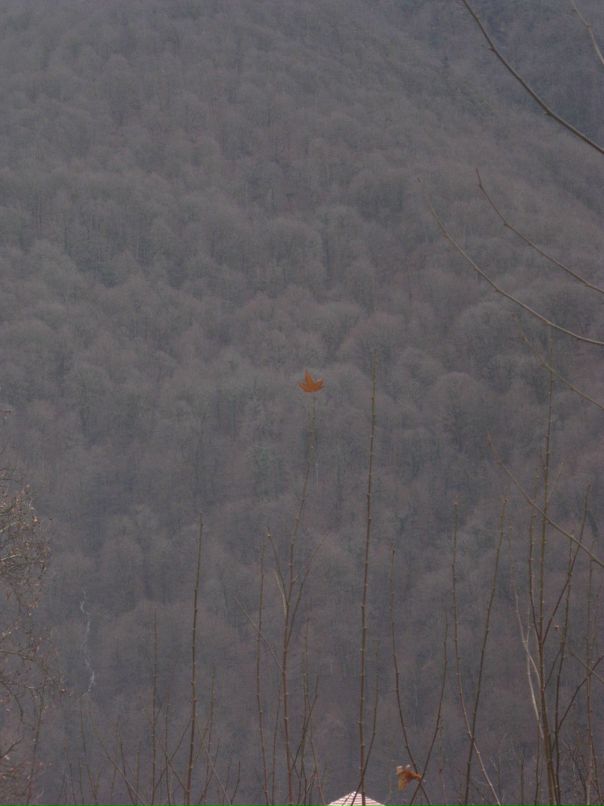 Кирилл Поляков фотография #45