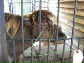 Фотография Почукалина Артёма