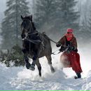 Фотография Иванова Ивана