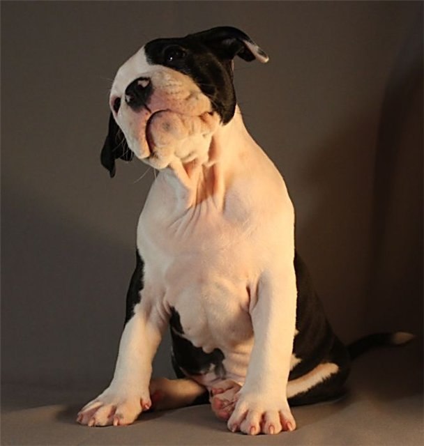 Игорь Иванов фотография #19