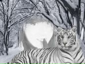 Фотография Комисаровой Екатерины