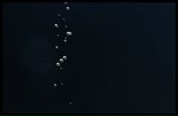 Віка Сивопляс фотография #18 (источник - https://vk.com/id125885607)