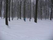 Софія Яковишена фотография #34 (источник - https://vk.com/id56257447)