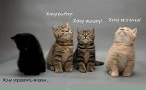 Фотография Розова Константина