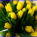 Олег Підгірний фотография #21 (источник - https://vk.com/id154681023)