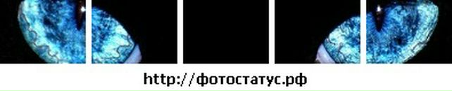 Діма Бородін фотография #2 (источник - https://vk.com/id31322298)