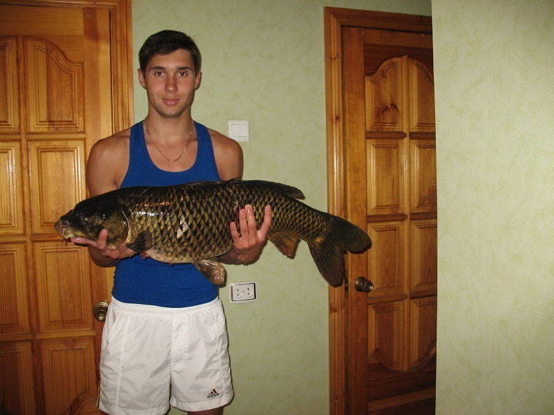 Андрей Акулинский фотография #26