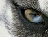 Вова Воронін фотография #36 (источник - https://vk.com/id18654541)