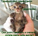 Лєна Сєдова фотография #2 (источник - https://vk.com/id158849567)