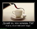 Ирина Олексеенко фотография #42 (источник - https://vk.com/id21115650)