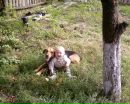 Арсеній Богдан фотография #26 (источник - https://vk.com/id109131871)