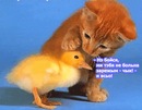 Марічка Баран фотография #6 (источник - https://vk.com/id156905442)