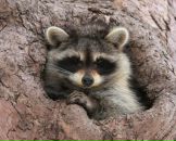 Фотография Ивановой Катерины