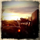 Фотография Шаблинского Антона