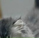 Сергій Тараненко фотография #30 (источник - https://vk.com/id78389792)