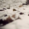 Даша Ярмоліцька фотография #19 (источник - https://vk.com/id135461332)
