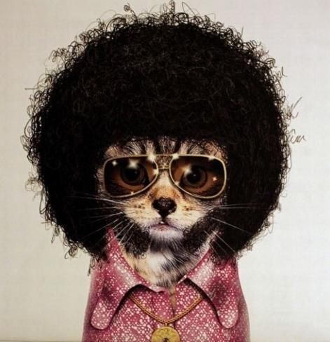 №8, Мария Абдулсатарова, Санкт-Петербург, Россия №8, Мария Абдулсатарова, Санкт-Петербург, Россия