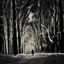 Фотография Цветочкиной Елены