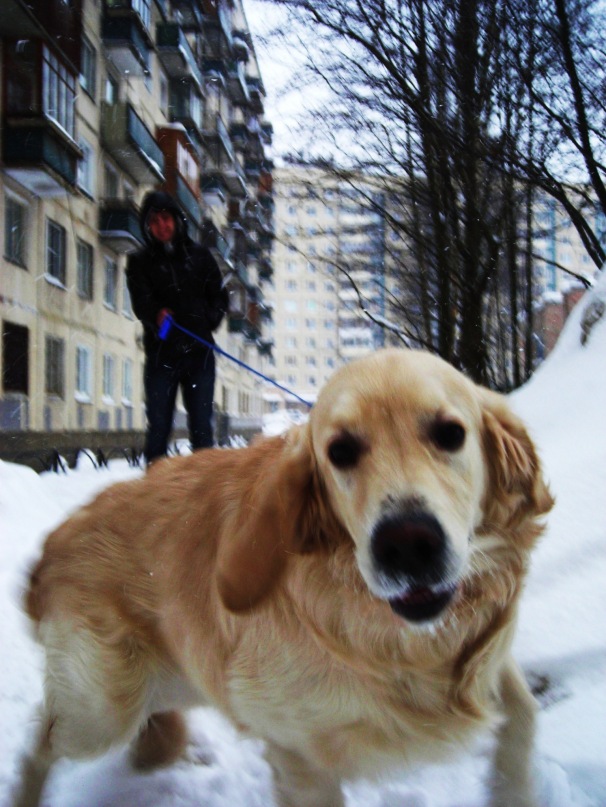 Evgeni Berzin фотография #35