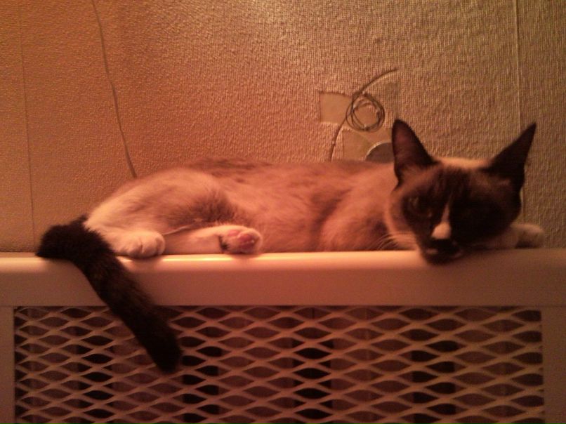 Александр Улыбин фотография #20