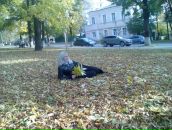 Ангеліна Литвинова фотография #26 (источник - https://vk.com/id47753304)