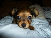 Фотография Алексеевой Юлии