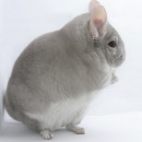 Фотография Грукаленко Маши