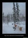 Дмитрий Савин фотография #33 (источник - https://vk.com/id1398356)