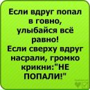 Валерія Литвинчук фотография #15 (источник - https://vk.com/id158670712)