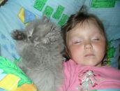 Віталій Колибчук фотография #24 (источник - https://vk.com/id132292333)