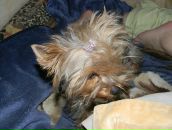 Вован Sid фотография #37 (источник - https://vk.com/id489035)