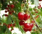 Ірина Сульжук фотография #7 (источник - https://vk.com/id10450442)