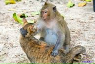 Петя Шкрібляк фотография #17 (источник - https://vk.com/id37021394)