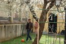 Марія Гикава фотография #37 (источник - https://vk.com/id122726809)