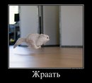 Вікуся Костюк фотография #45 (источник - https://vk.com/id161215171)