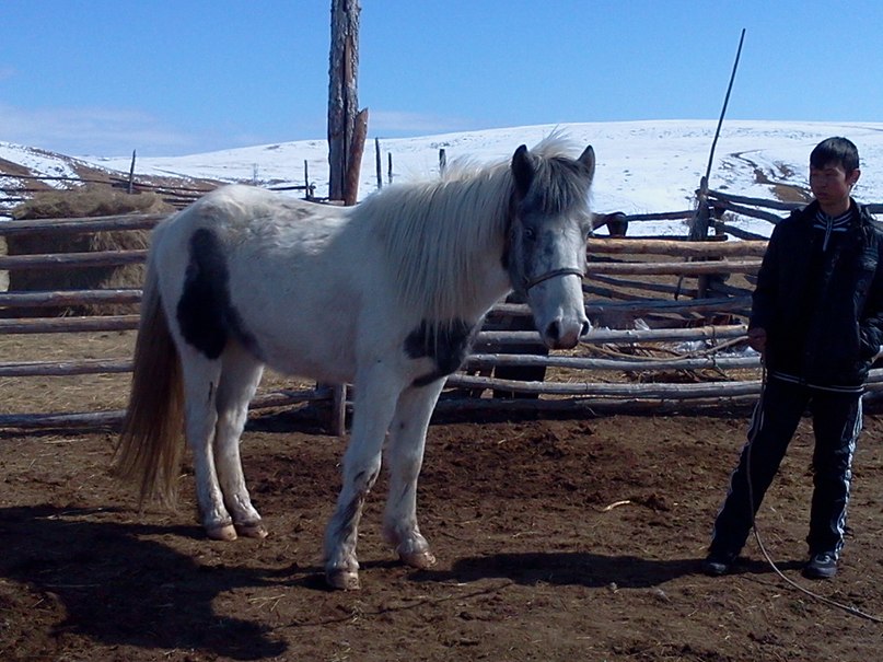 Чимит Эрзин-оглу фотография #9