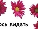 Світланка Благун фотография #19 (источник - https://vk.com/id138671124)