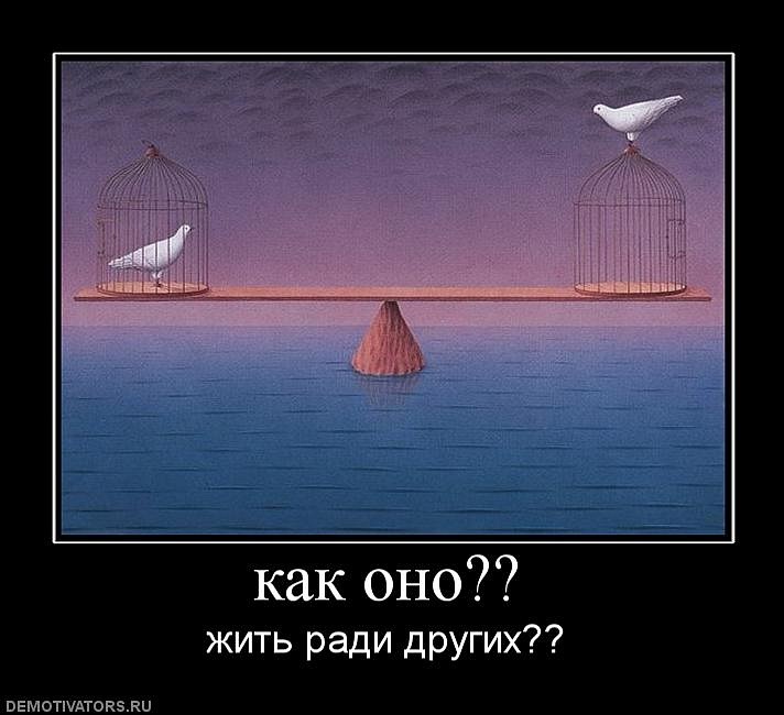 Антон Андреенко фотография #26