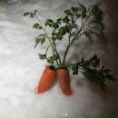 Фотография Таланиной Кати