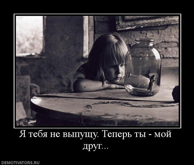 Антон Касьяненко фотография #12