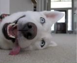 Фотография Надзиванного Стаса