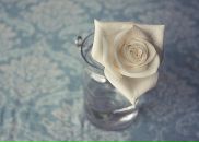 Інна Фурдик фотография #32 (источник - https://vk.com/id122077008)