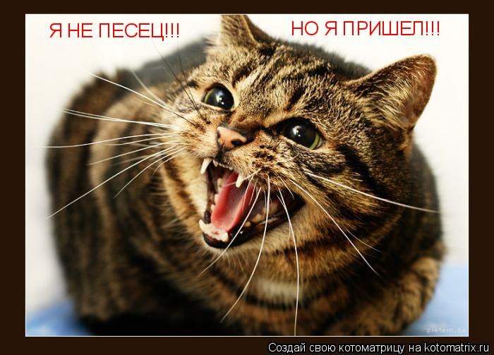 Михаил Копейка фотография #43