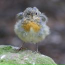 Фотография Фесик Екатерины