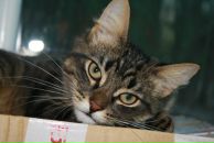 Фотография Жарковой Елены