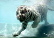 Юра Марців фотография #10 (источник - https://vk.com/id17072960)